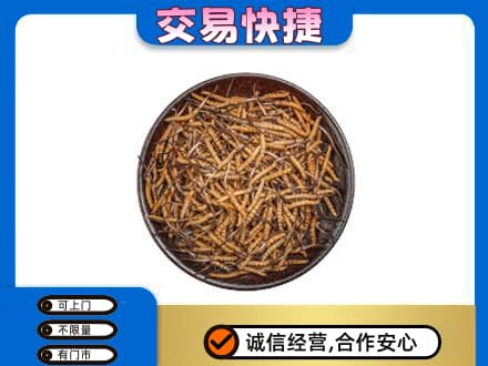 桂林礼品回收虫草.jpg